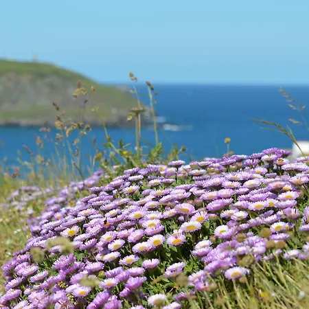 St Moritz And Cowshed Hotel Polzeath